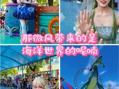 -海合安武汉极地海洋公园