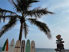 -玫瑰海岸文化旅游度假区