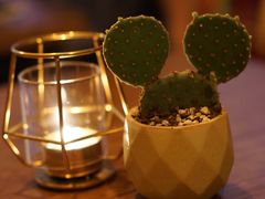 -Mesa Madre梅萨妈妈·Bintana(国贸店)