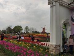 -杭州湾海上花田景区