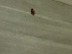 -JOYA湾悦国际酒店(世界之窗店)