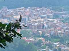 -火炉山森林公园