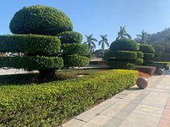 -厦门国家会计学院