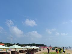 -日照海滨国家森林公园