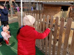 -萌宠亲子动物乐园(槐房万达店)