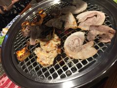 -火烈鸟