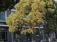 -上海海事大学(临港校区)