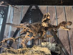 -国家自然博物馆