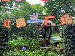 -广州长隆飞鸟乐园