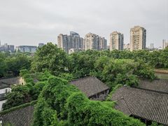 景观位-至尊鲨鱼·原烹海鲜·新浙菜(拱宸桥店)