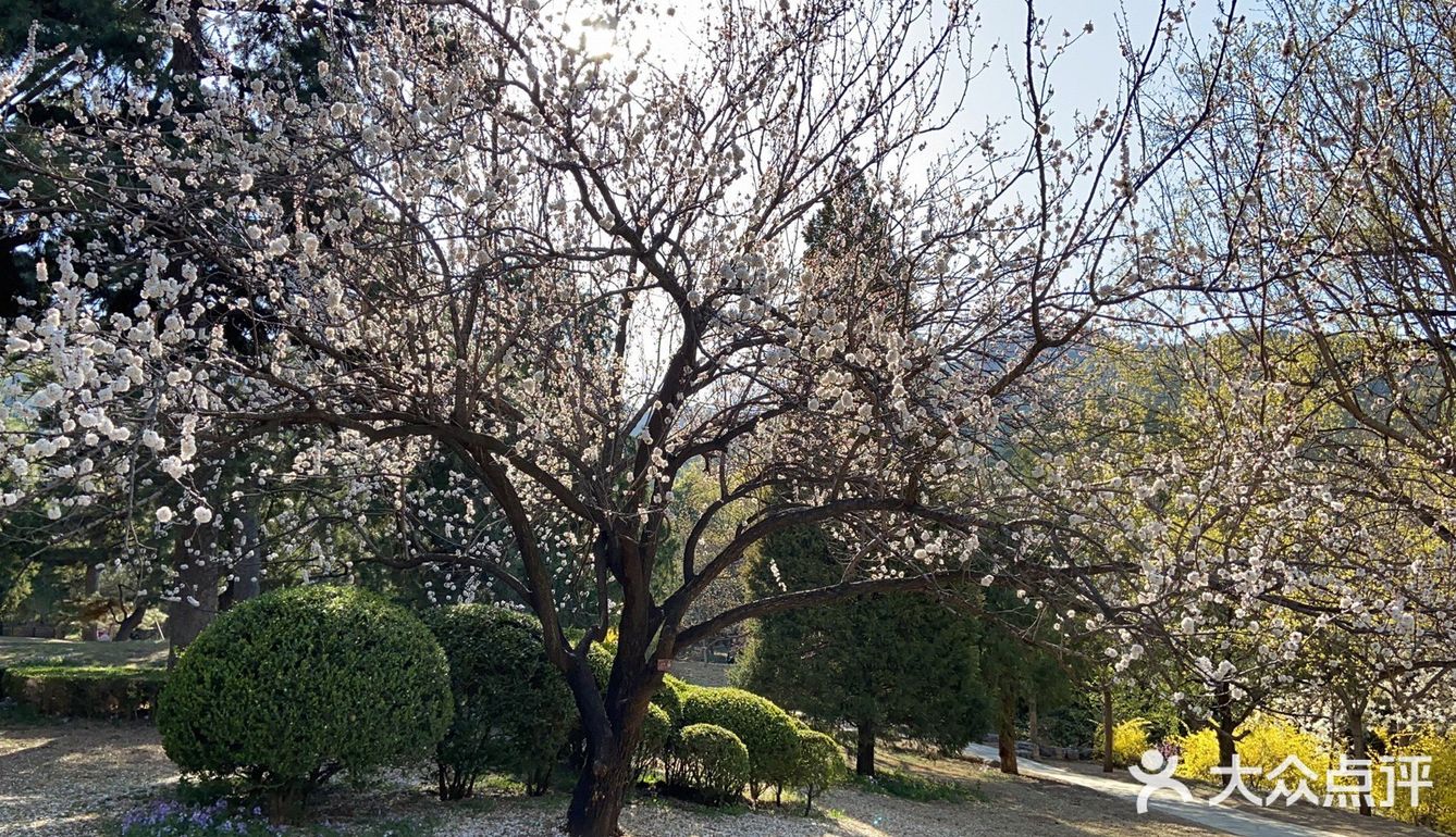 不能聚集吃饭，那就一个人爬山吧，今天真晒，不过阳光也