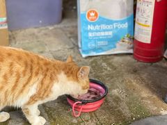 -田德能咖啡博物馆