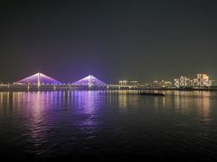 -武汉知音号