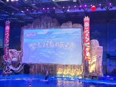-华夏文旅海洋公园