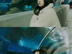 -秦皇岛新澳海底世界