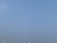 -碧海金沙