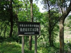 -重庆歌乐山烈士陵园