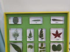 -斯坦星球青少儿编程机器人科学思维专注力科创竞赛规划(兰岛学习中心)