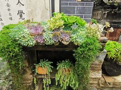-寂照庵