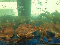 -苏福记·海鲜佬(凤城四路店)