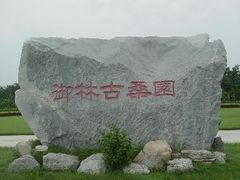 -御林古桑园