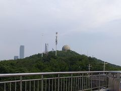-青岛电视塔