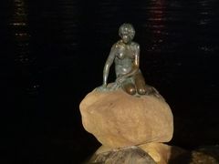 -美人鱼
