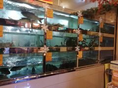 水产区-蜀滋香鲜鱼美蛙火锅(339店)