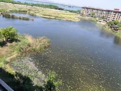 -南湖国家城市湿地公园