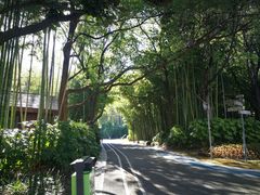 -苏州河梦清园环保主题公园