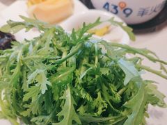 -蒙都43°9羊火锅·赤峰美食(桥北店)
