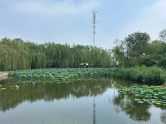 -南翠屏公园