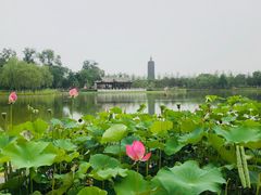 -西海子公园