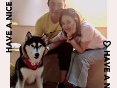 -Husky Go! 哈士奇体验馆·宠物咖啡厅狗咖