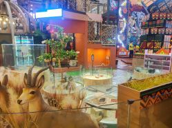 -卡通尼·Safari非洲探索乐园·生日会(金桥国际商业广场店)