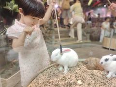 -正佳雨林生态植物园