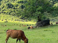 -香桥岩溶国家地质公园