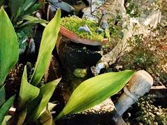 -古韵餐厅(湖畔大学店)