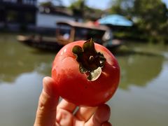 -月芽·自由餐厅·西溪湿地餐厅