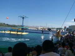 -秦皇岛乐岛海洋王国