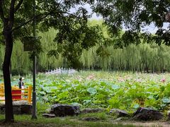 -东升八家郊野公园