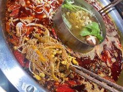 -小王少龙火锅(沙南街店)