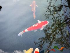 -西安市广仁寺