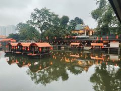 -侨美·唐荔园·40年地道粤菜