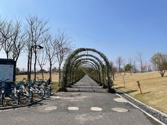 -广富林郊野公园