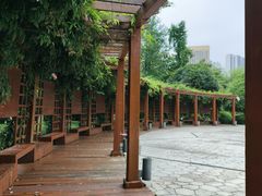 -龙头寺公园