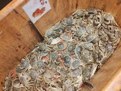 -初色海鲜自助(万丰路店)