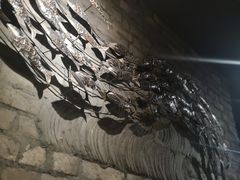 -江边城外烤全鱼(Raffles City)