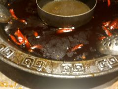 -重庆渝达老火锅(春熙路店)