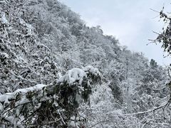 -九峰山